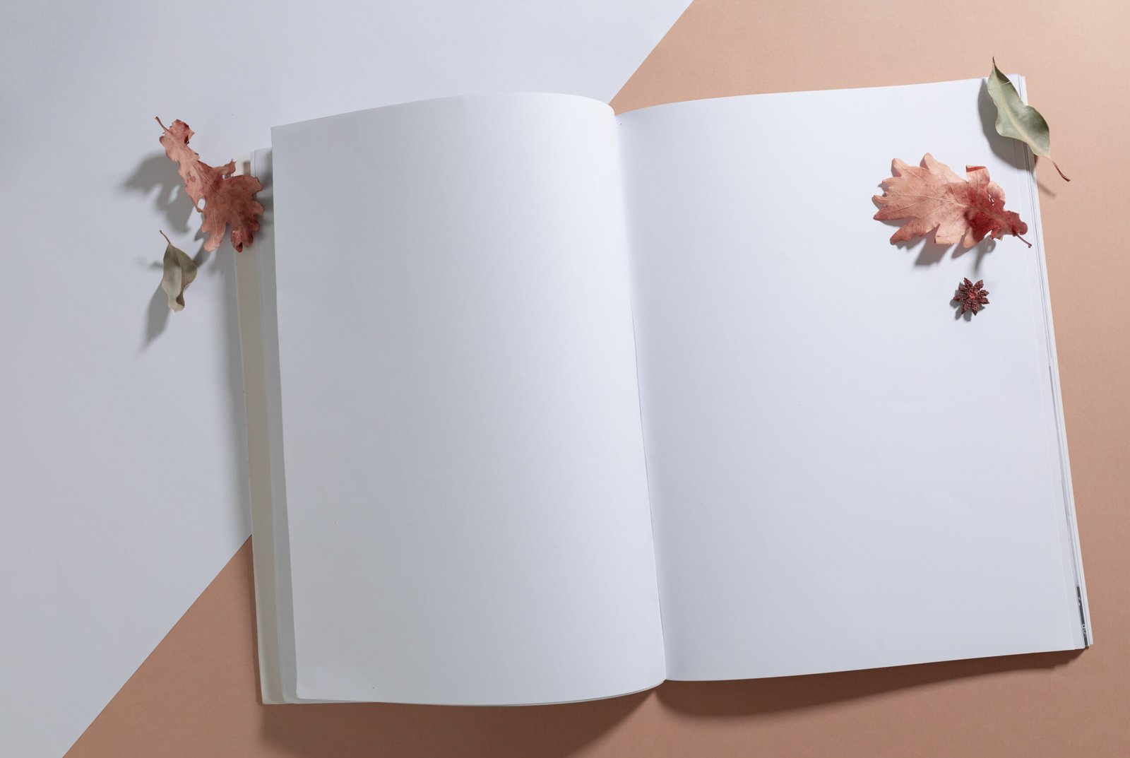 https://srulyperl.com/wp-content/uploads/2025/06/Book-Layout-scaled.jpg